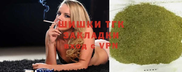 МДПВ Бородино