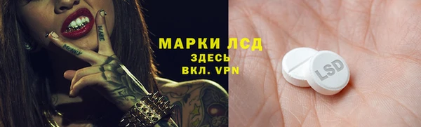 СК Богородицк