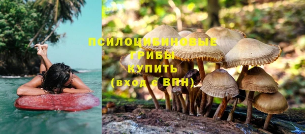 СК Богородицк